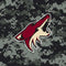NHL Arizona Coyotes Camo Galaxy Buds Live Skin